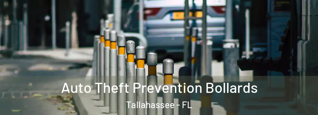  Auto Theft Prevention Bollards Tallahassee - FL