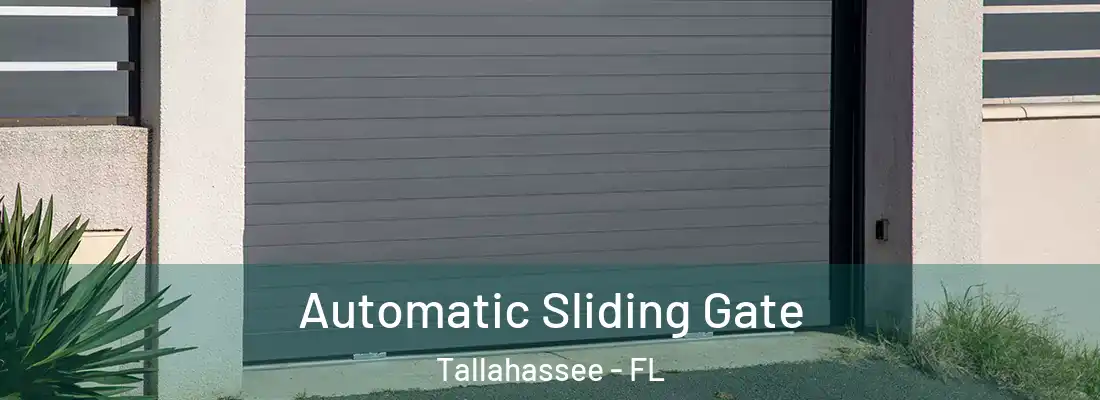  Automatic Sliding Gate Tallahassee - FL