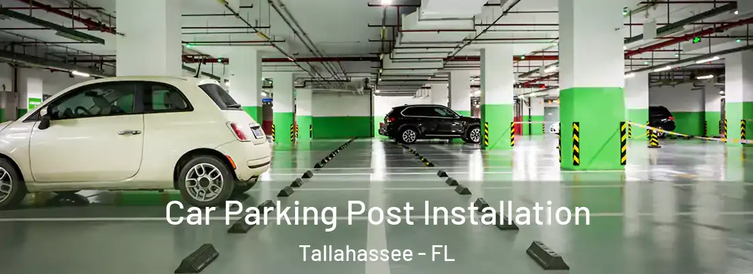 Car Parking Post Installation Tallahassee - FL
