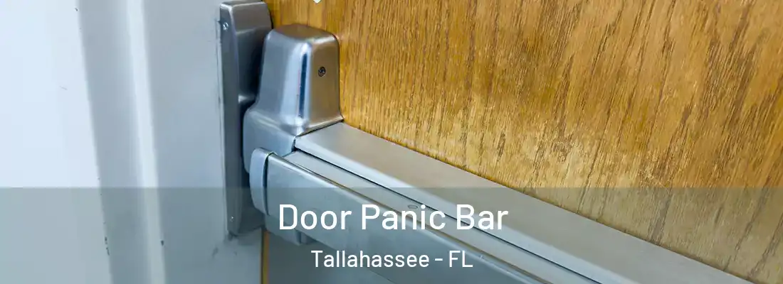  Door Panic Bar Tallahassee - FL
