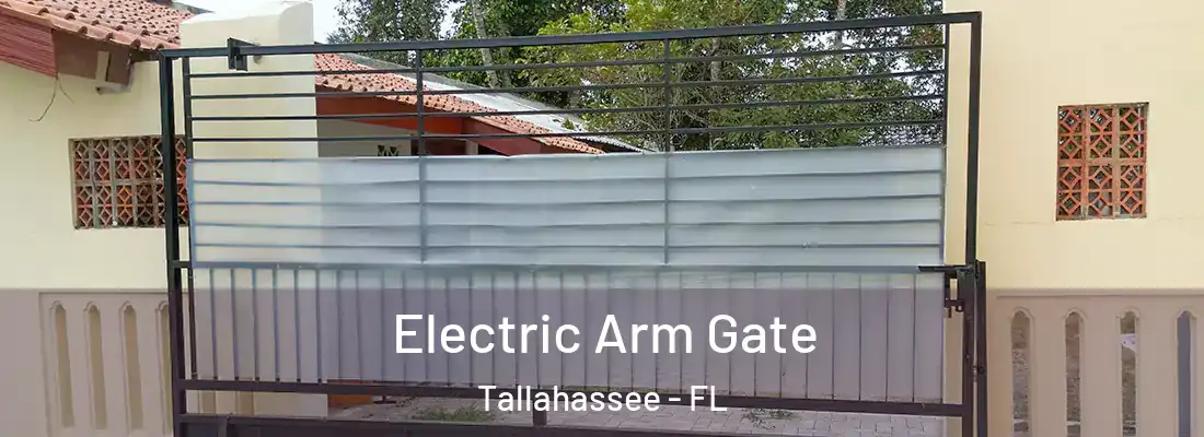  Electric Arm Gate Tallahassee - FL