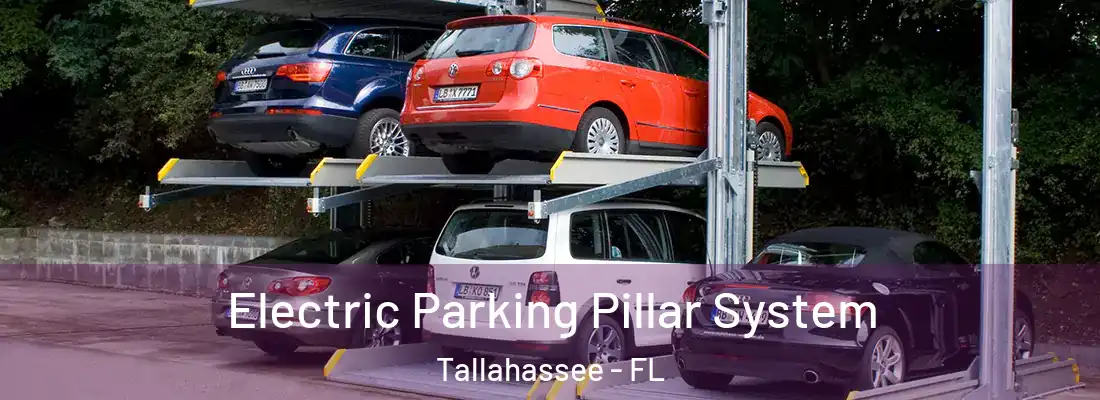  Electric Parking Pillar System Tallahassee - FL
