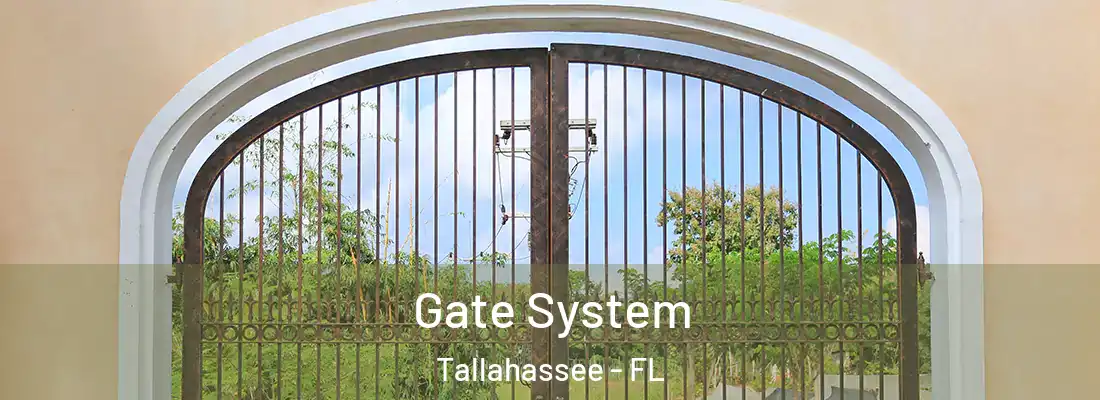  Gate System Tallahassee - FL