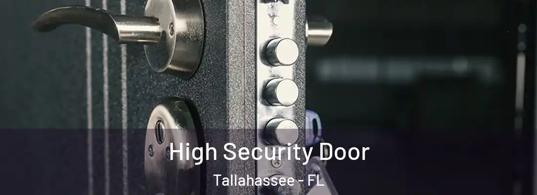  High Security Door Tallahassee - FL