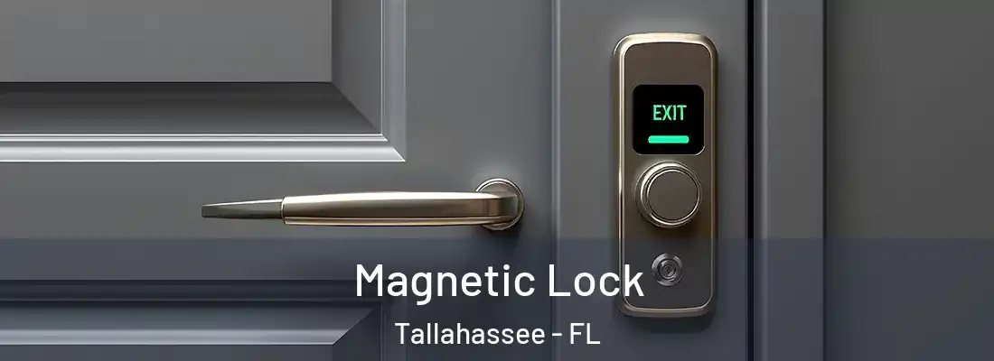  Magnetic Lock Tallahassee - FL