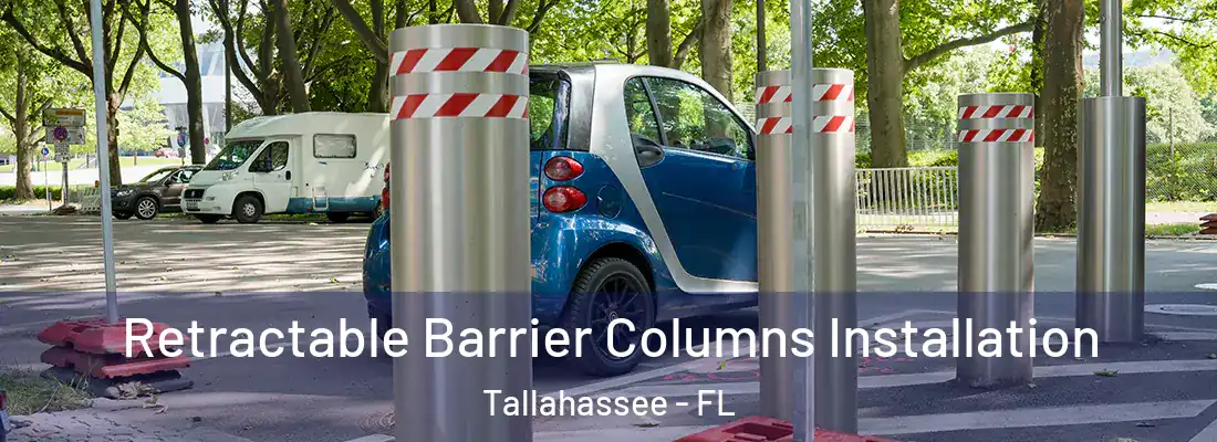  Retractable Barrier Columns Installation Tallahassee - FL